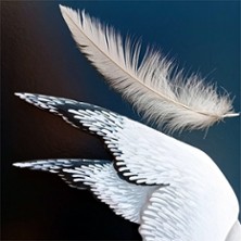 Image aléatoire d'événement